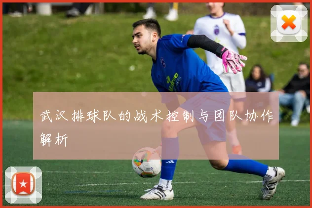 武汉排球队的战术控制与团队协作解析
