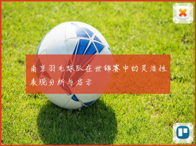 南京羽毛球队在世锦赛中的灵活性表现分析与启示