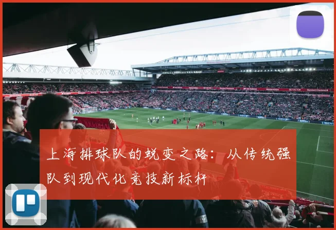 上海排球队的蜕变之路：从传统强队到现代化竞技新标杆