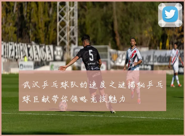 武汉乒乓球队的速度之谜揭秘乒乓球巨献带你领略竞技魅力