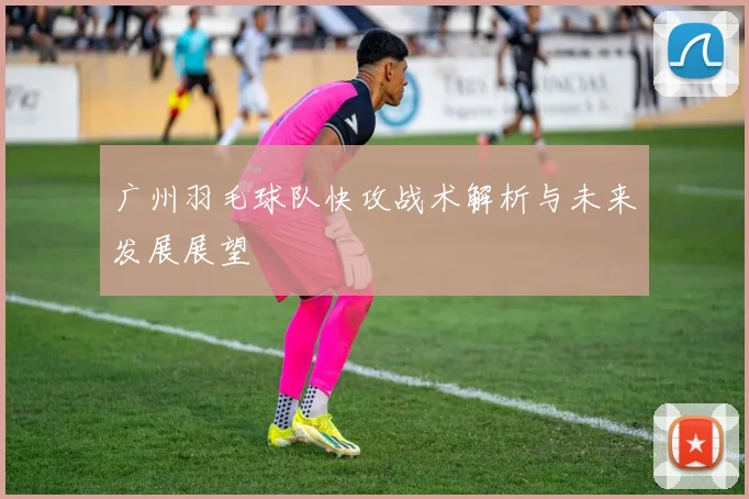 广州羽毛球队快攻战术解析与未来发展展望