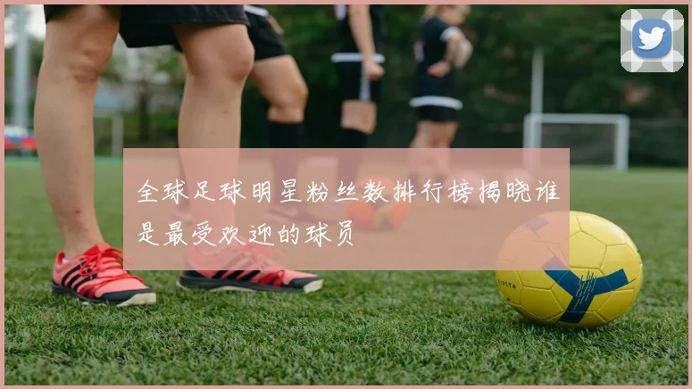全球足球明星粉丝数排行榜揭晓谁是最受欢迎的球员