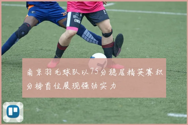 南京羽毛球队以75分稳居精英赛积分榜首位展现强劲实力