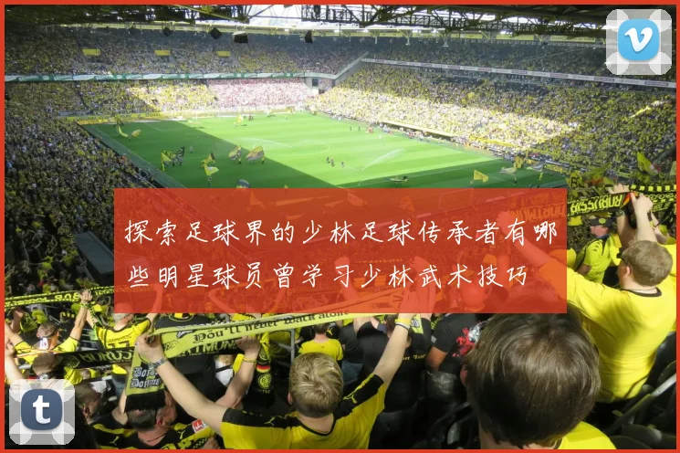 探索足球界的少林足球传承者有哪些明星球员曾学习少林武术技巧