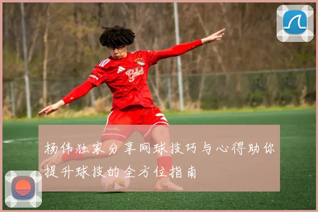 杨伟独家分享网球技巧与心得助你提升球技的全方位指南