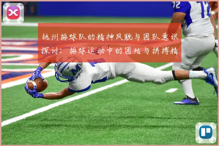 杭州排球队的精神风貌与团队意识探讨：排球运动中的团结与拼搏精神