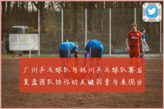 广州乒乓球队与杭州乒乓球队赛后复盘团队协作的关键因素与表现分析