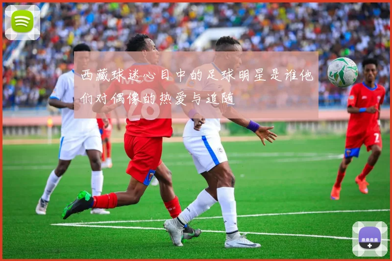 西藏球迷心目中的足球明星是谁他们对偶像的热爱与追随