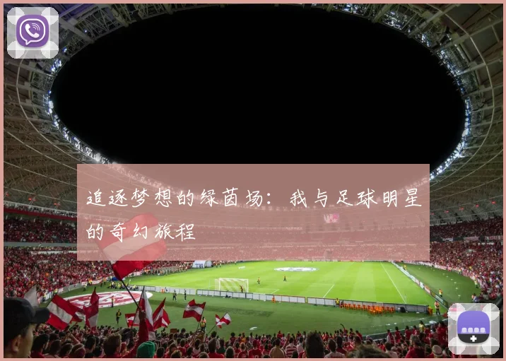 追逐梦想的绿茵场：我与足球明星的奇幻旅程